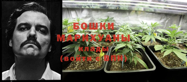 ешки Алзамай